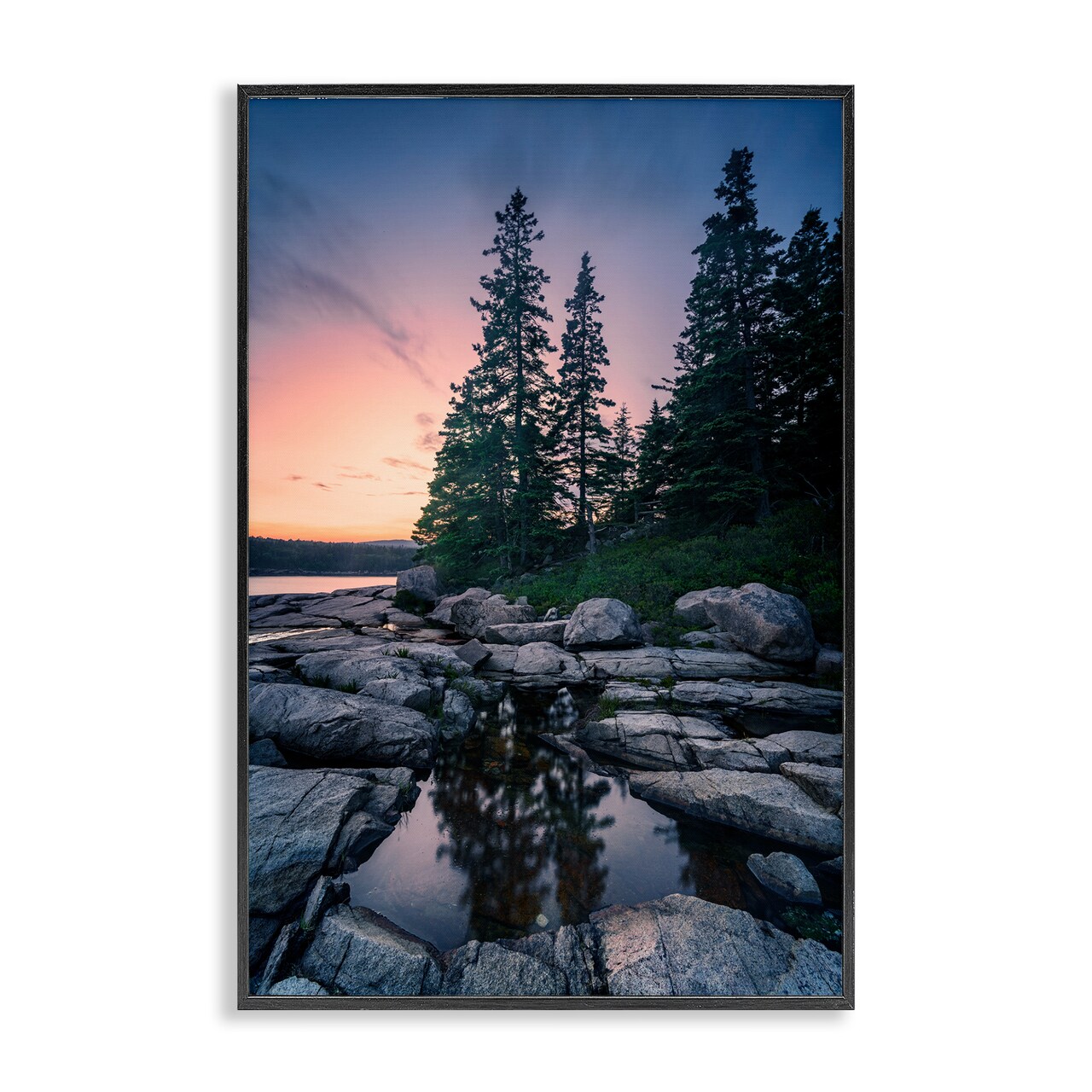 Stupell Industries Trees Reflected in Tide Pool Framed Giclee Wall Art Design by Rick Berk